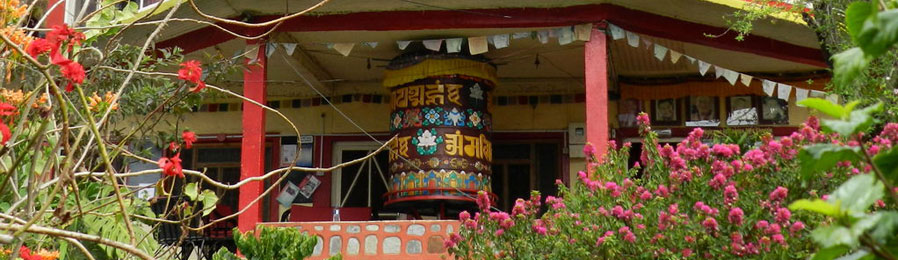 BUDDHIST TEACHINGS. MEDITATION, YOGA & REIKI