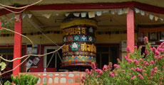 BUDDHIST TEACHINGS. MEDITATION, YOGA & REIKI